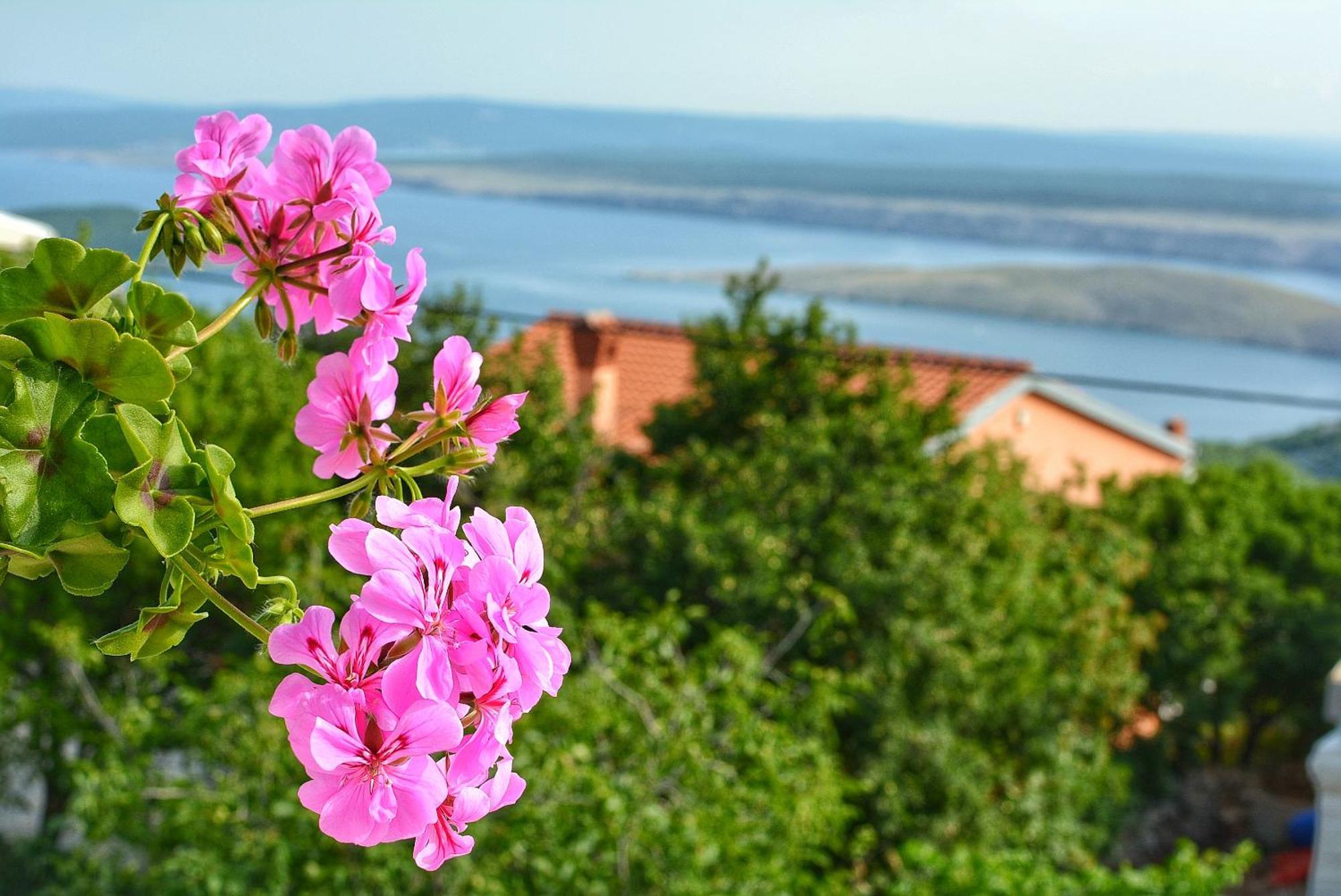 Kantun Šmrika Dış mekan fotoğraf